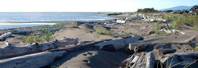Iona Beach Regional Park